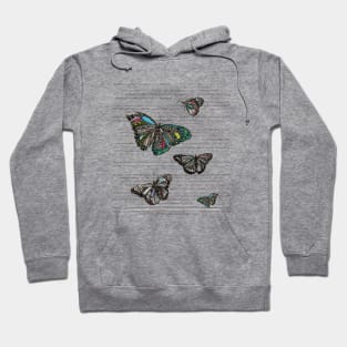 Butterflies. Hoodie